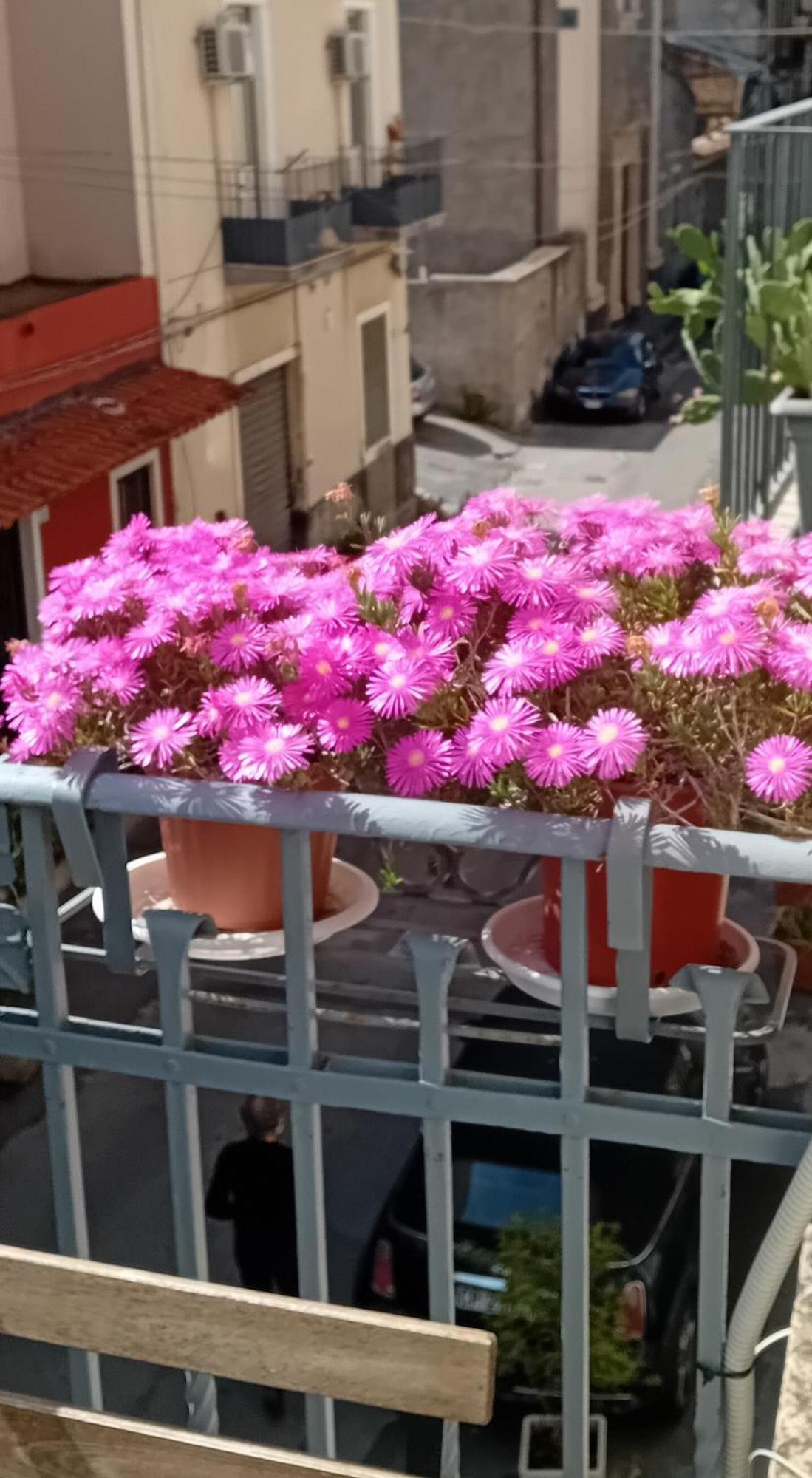 La Casuzza Di Tindaro Apartment Катания Екстериор снимка